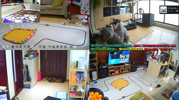 Asian Webcam Alpha Mistress Commands Your Total Surrender