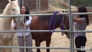 Missy Martinez & Lylith Lavey Wild Barnyard Naughty Fun